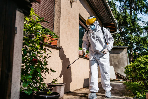 Best Flea Control Services  in Aiken, SC
