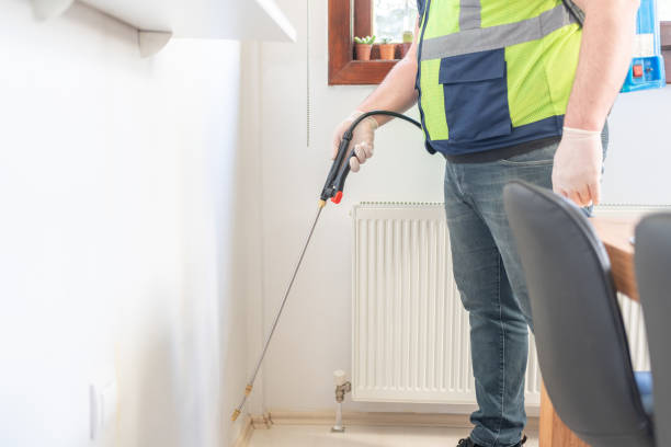 Best Wasp Removal Services  in Aiken, SC