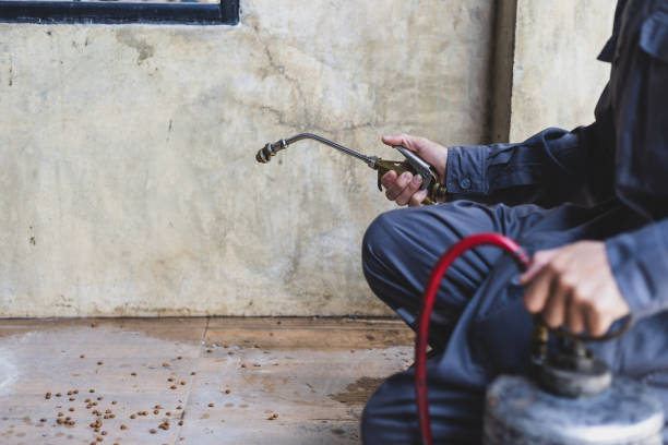 Best Local Pest Control Services  in Aiken, SC