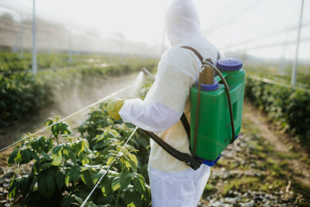 Best Best Pest Control Companies  in Aiken, SC